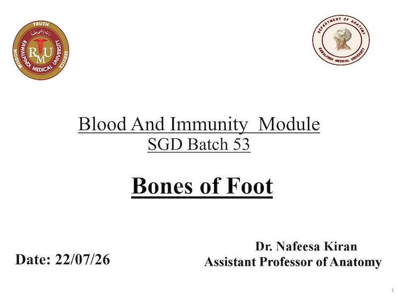 Bones of foot.pdf