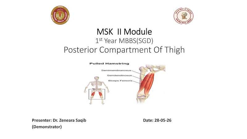 Posterior compartment of Thigh.pdf