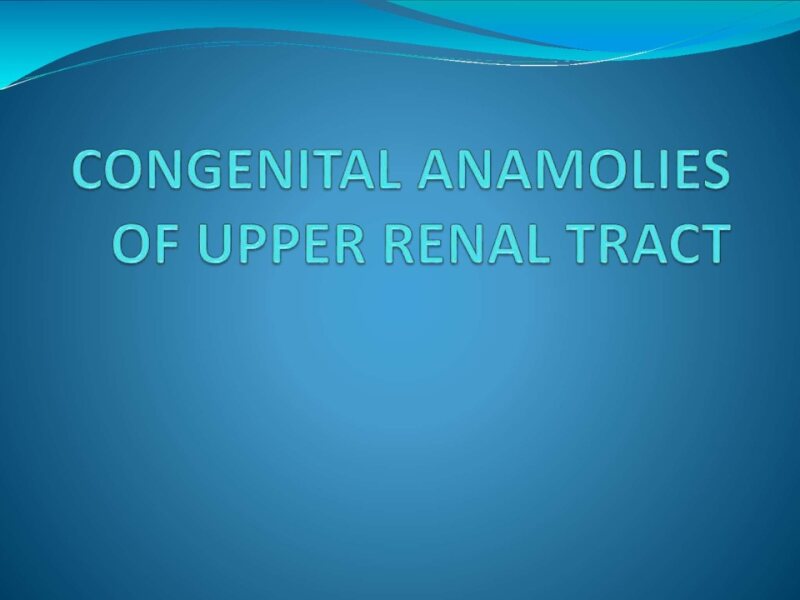 CONGENITAL-ANAMOLIES-OF-UPPER-RENAL-TRACT.pptx