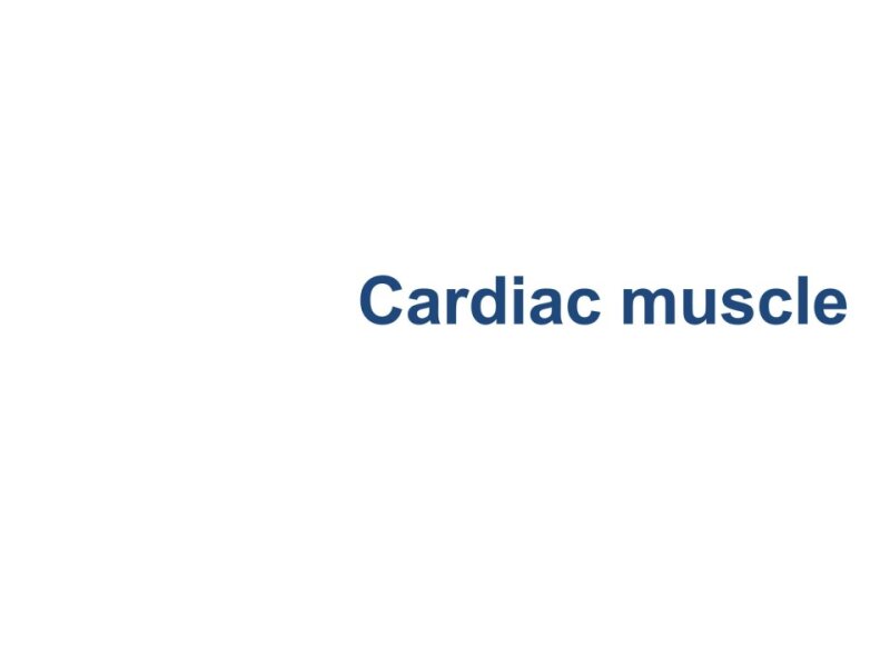 cardiacmusclembbs-161103060950.pptx