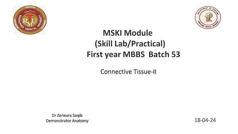 Connective tissue -II.pdf