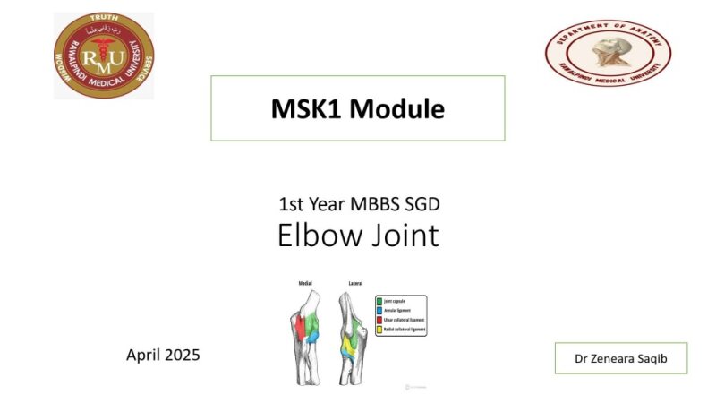 Elbow joint.pptx