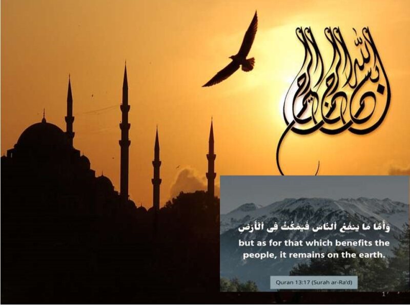 MVI-CNS-PH028-Effects of Drugs on REFLEX TIME of Frog SKILL LAB.pdf