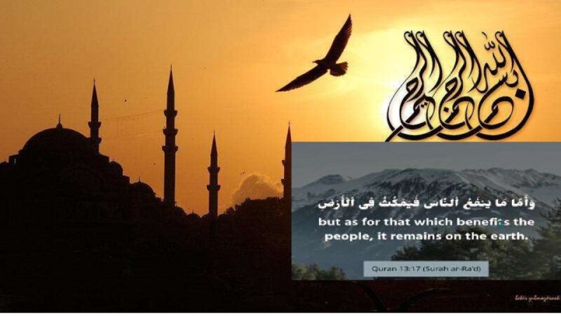 MVII-RENAL -PH-004- Drugs Used in UTI (SGD).pdf