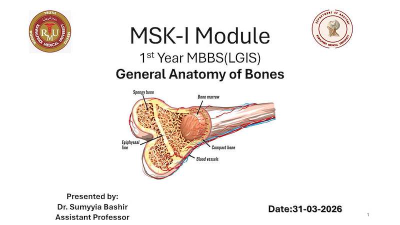 GA of bones-I.pdf