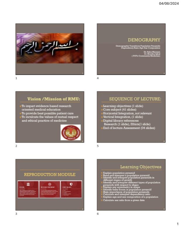 DEMOGRAPHYSGD-min.pdf