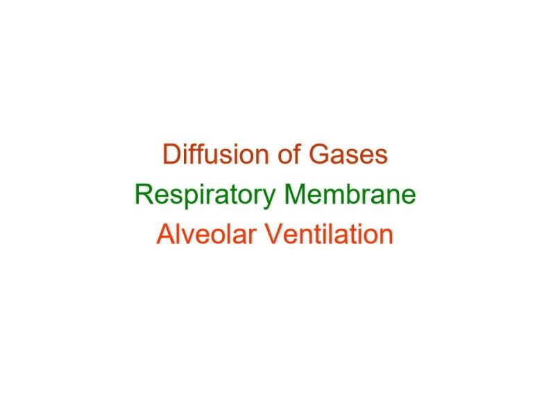 resp physio resp membrane - Copy2 (1) - Copy.pdf