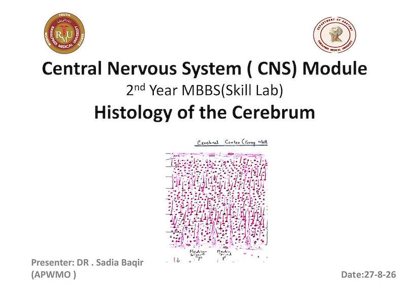 5-histo practical of cerebrum.pdf