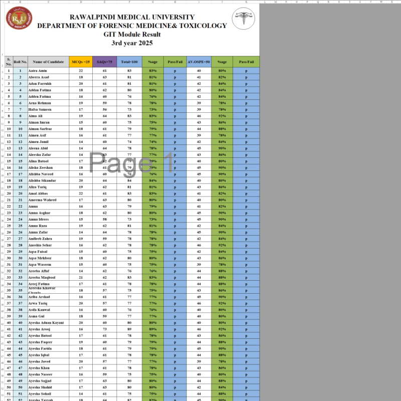 Git Result 2025.xlsx