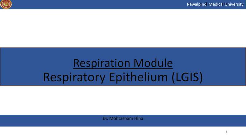 Respiratory Epithelium .pdf