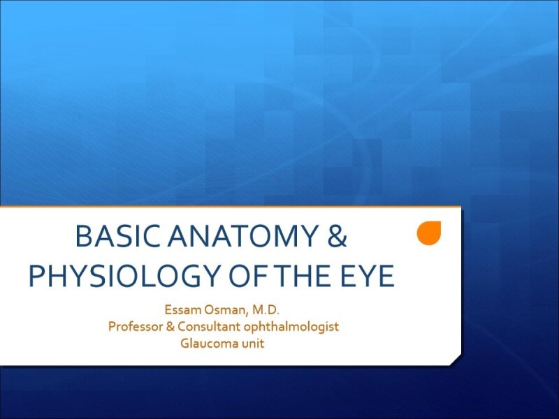 2. Anatomy and physiology of the eye.pdf