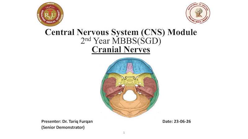 10 CRANIAL NERVE .pdf