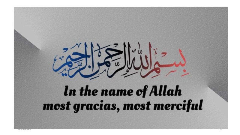 MV-HEAM-PH-012 Immunostimulants (SGD).pdf