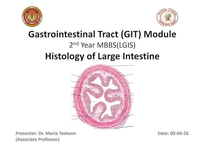 Histology of Large Intestine.pptx