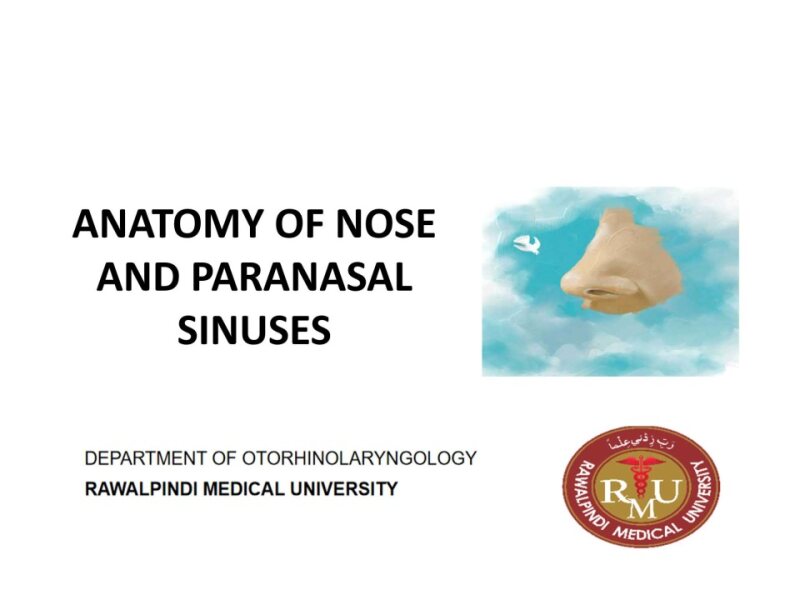 Anatomy-of-NosePNS.pptx