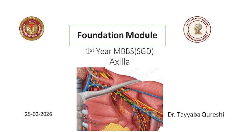 Axilla.pdf