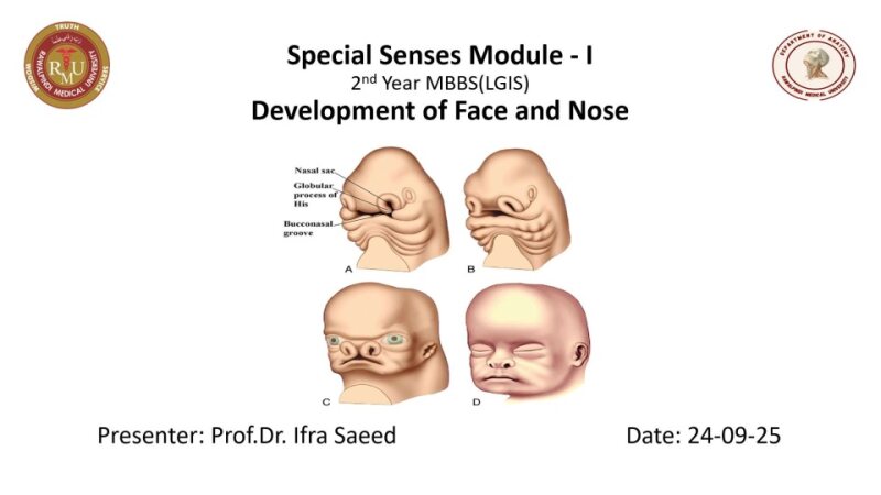 Development of Nose and Face.pptx
