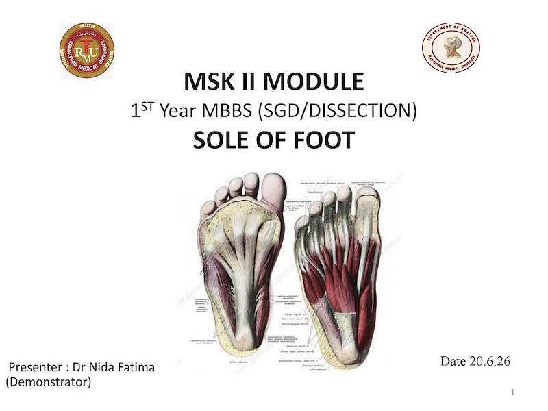 Sole of the foot.pdf