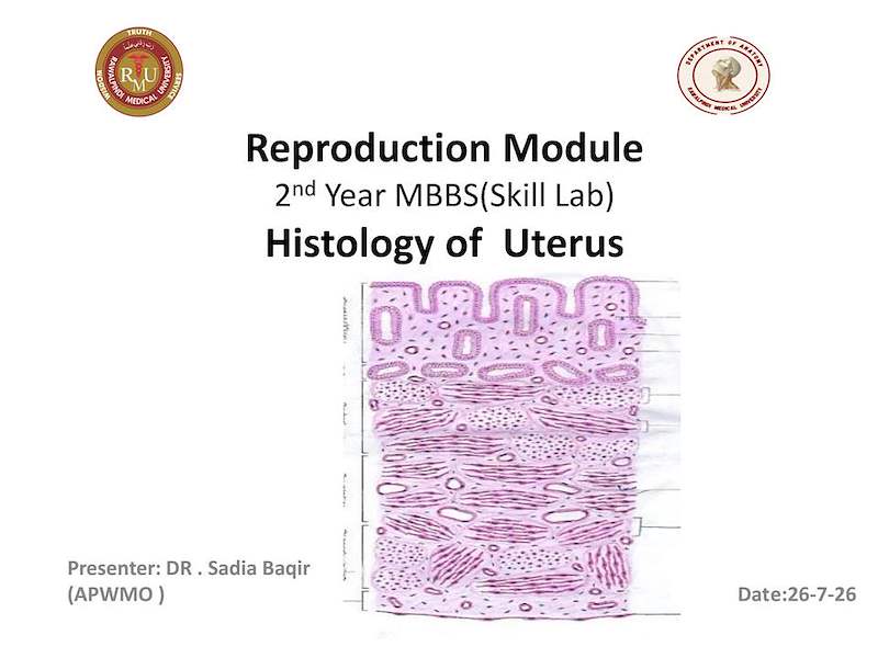 3-Histology of uterus  practical.pdf