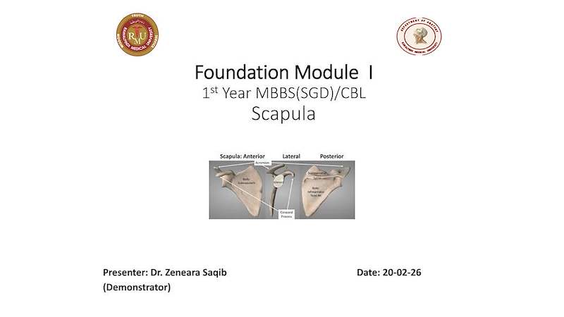 Scapula .pdf