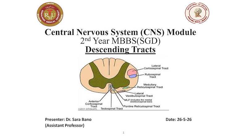 3 SPINAL CORD (Descending tracts).pdf