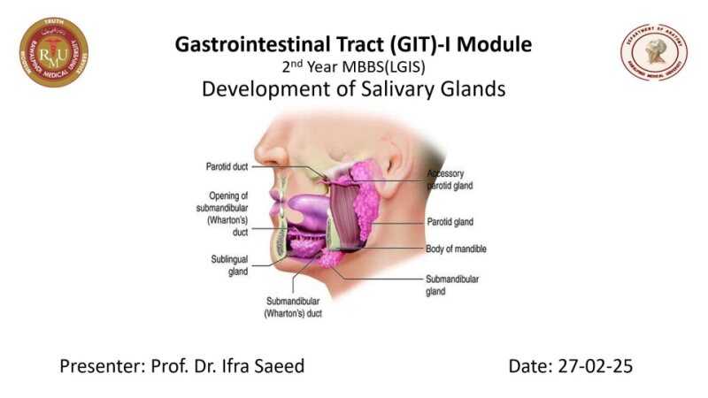 Development-of-salivary-Gland.pptx