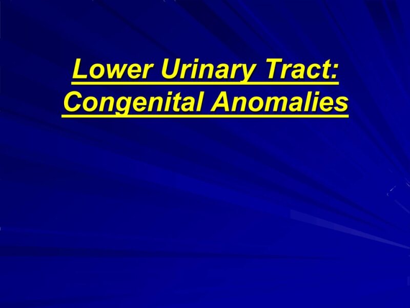 Congenital_Anomalies_of_Lower-urinary-Tract.pptx