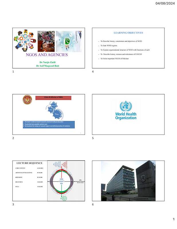 NGOs.pdf