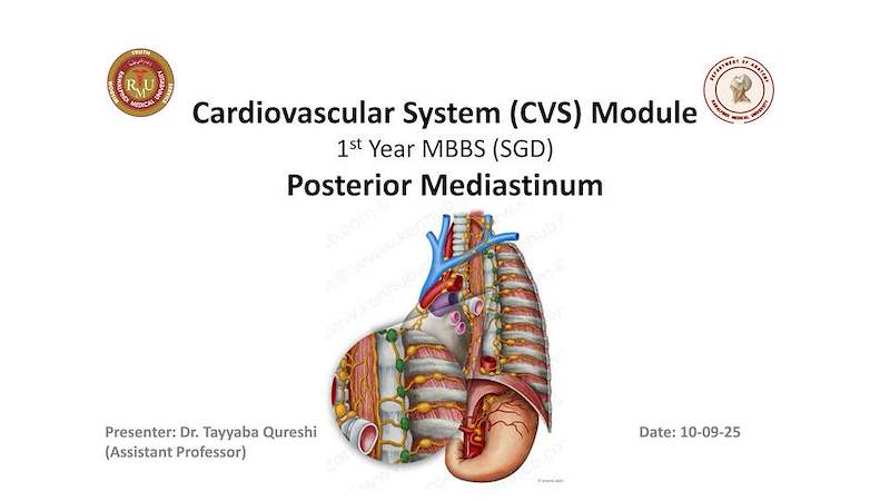 Posterior Mediastinum.pdf