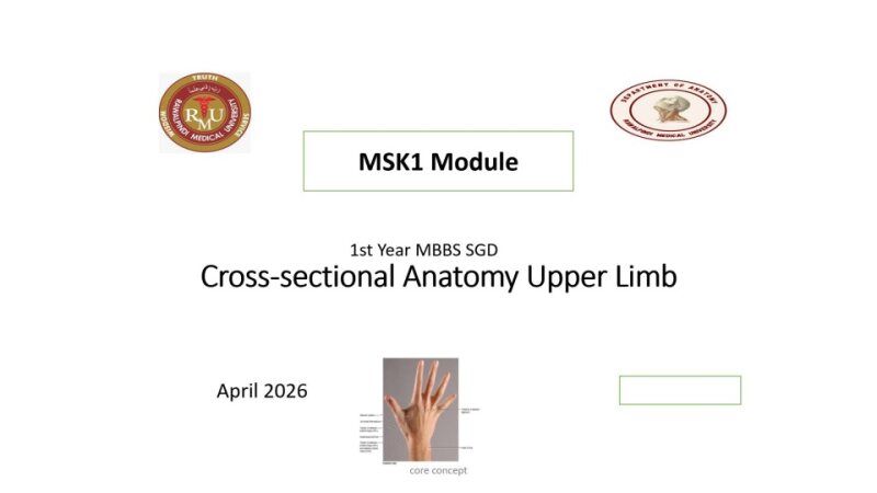 cross sectional anatomy.pptx