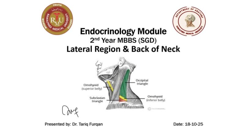 Lateral region of neck & back of neck.pptx