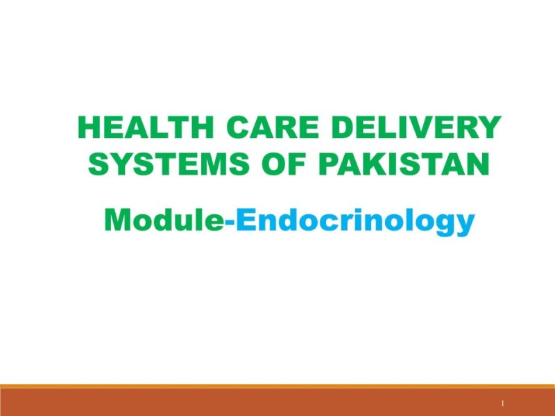 health-care-delivery-system-in-pakistan-II-24 (1).pptx