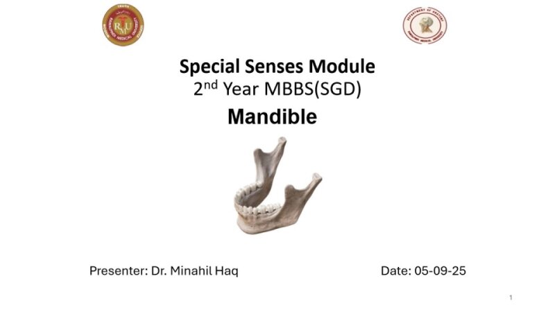 Mandible.pdf