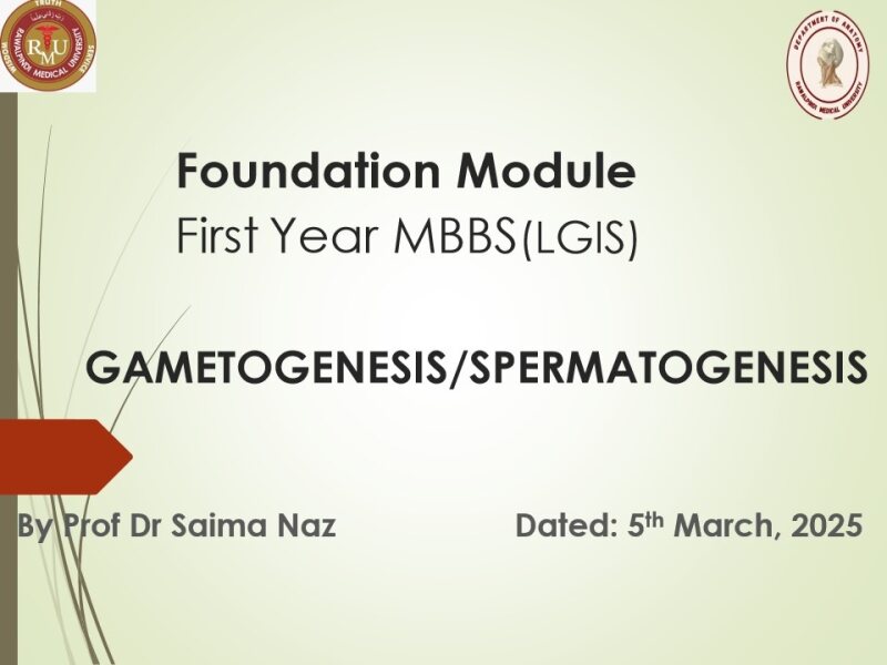 Gametogenesis-Spermatogenesis-2025pptx-final.pdf