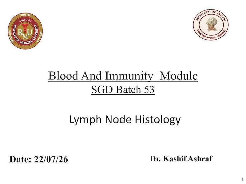 lymph node Histology.pdf