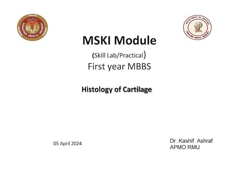 Cartilage Histology.pdf