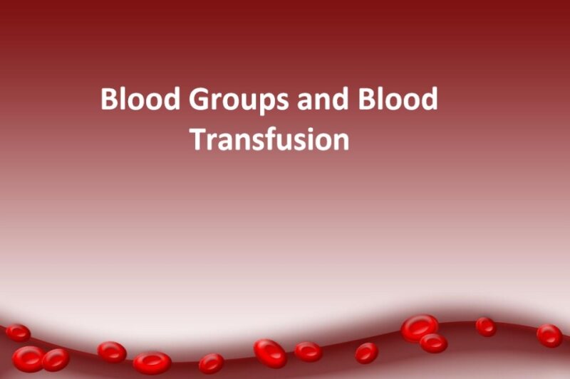12- Blood Groups and Blood Transfusion 2018.pdf