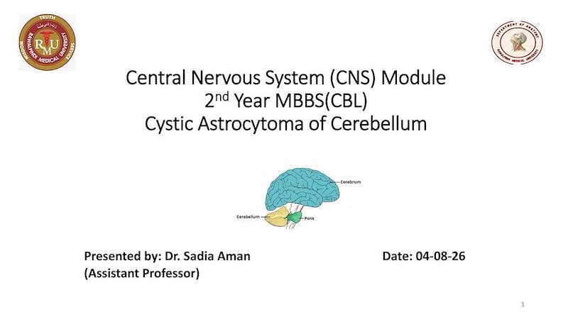 5 CEREBELLUM.pdf