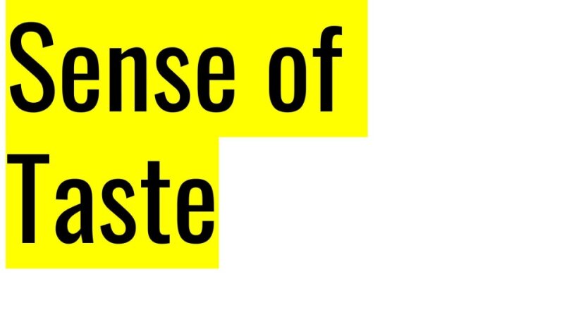 Sense of Taste, DrKamil.pptx