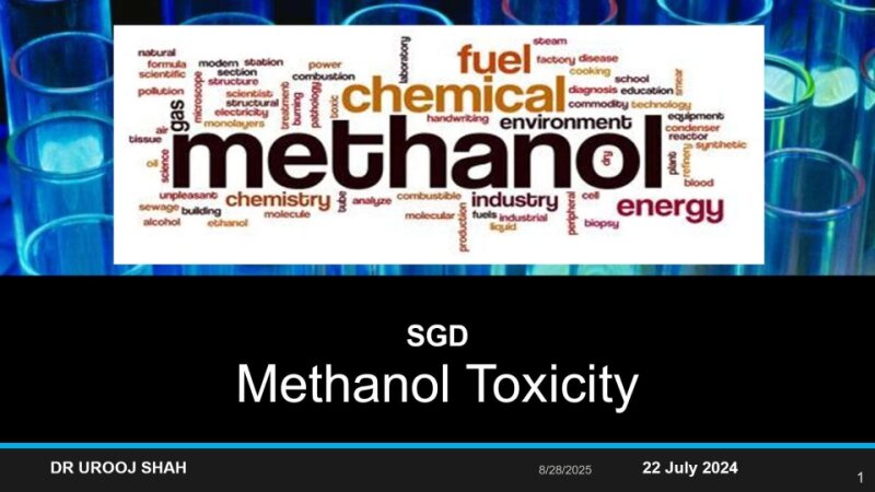 methanol 22 july.pptx