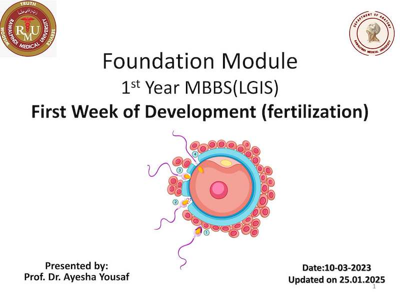 Fertilization.pdf