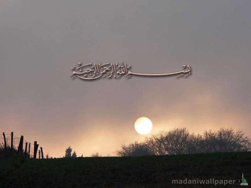 MV-ENDO-PH-002 Anti-thyroid drugs II.pdf