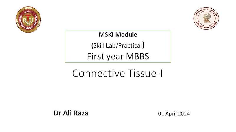 Connective tissue -1.pdf