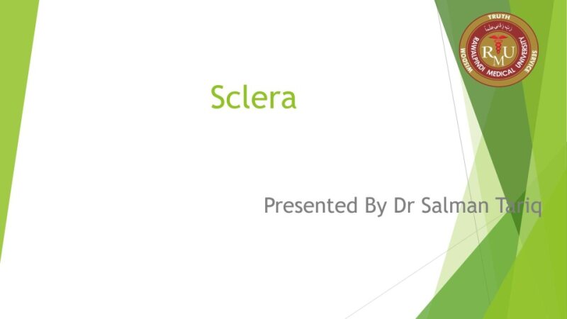 sclera-salman-1.pptx