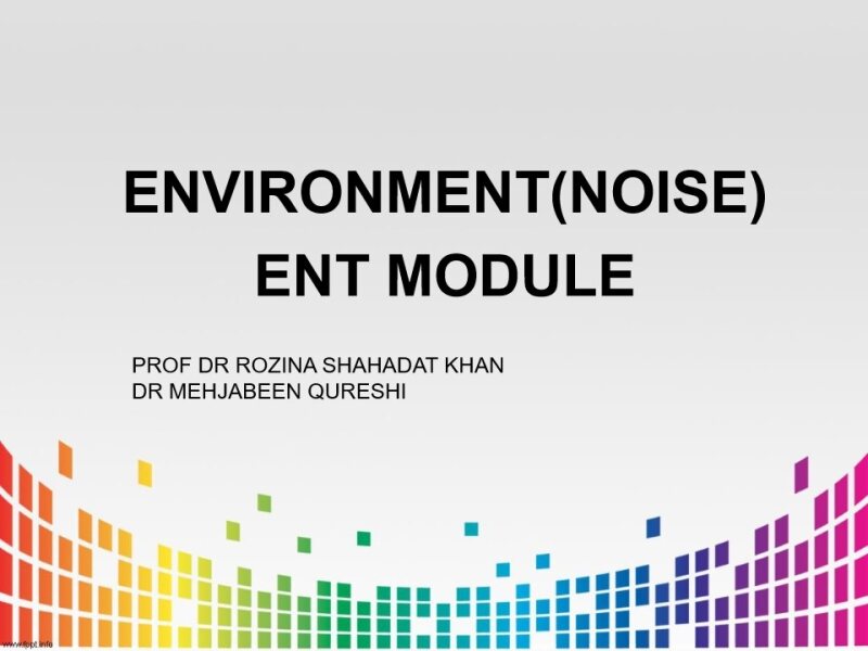 noise pollution-4th year PDF.pdf