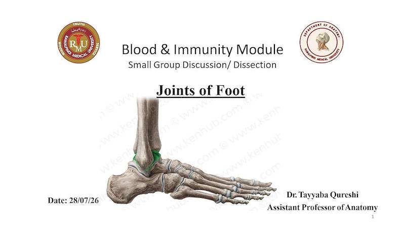 Joints Of Foot.pptx