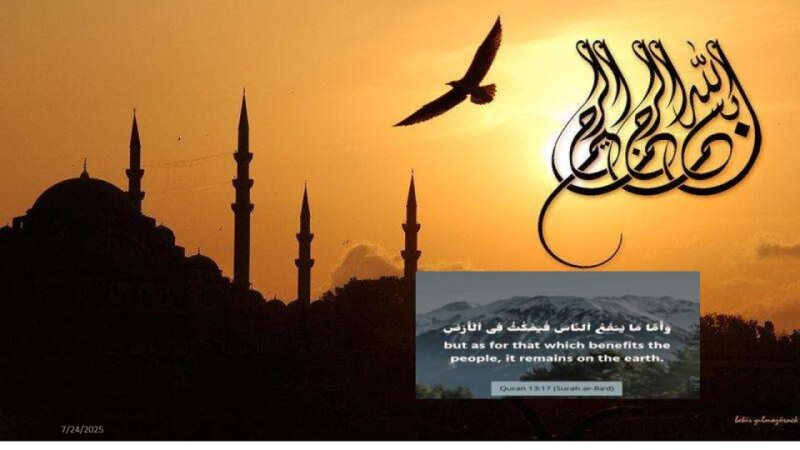 MVI-REPRO-PH-010 PK calculations I (SKL).pdf