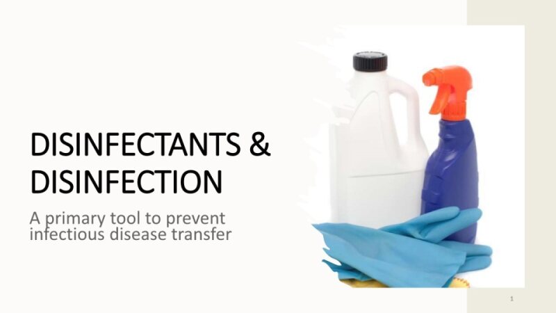 Disinfection(1)_compressed.pdf