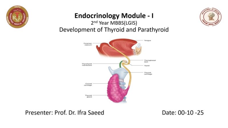 Development of Thyroid and parathyroid.pptx