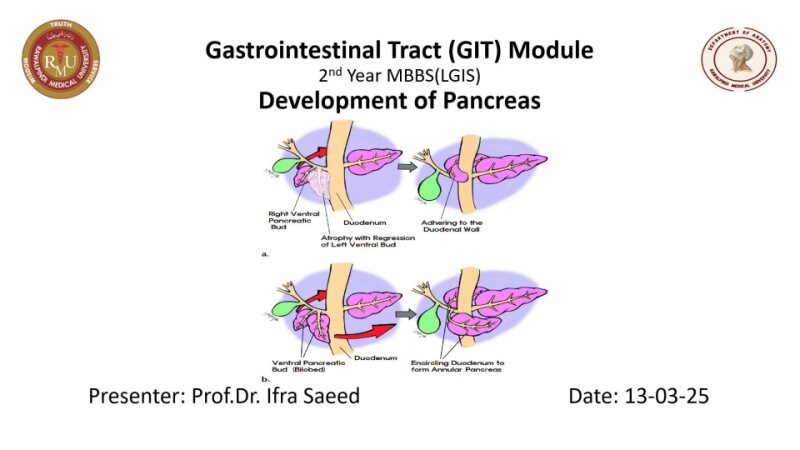 Development-of-Pancreas.pptx